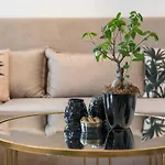 Ethyr Living * La Canea